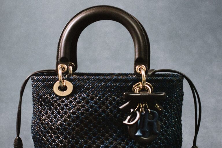 Dior, lady dior